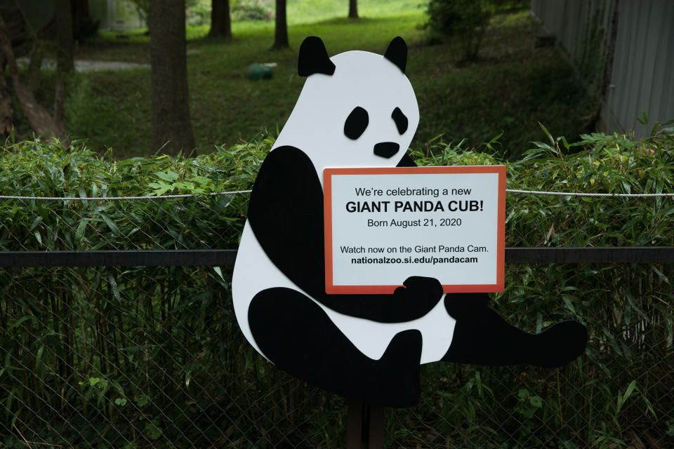 An announcement is seen at Smithsonian's National Zoo following the birth of the zoo's first giant panda cub in five years, Aug. 22, 2020. (Photo by Evelyn Hockstein/Washington Post via Getty Images)