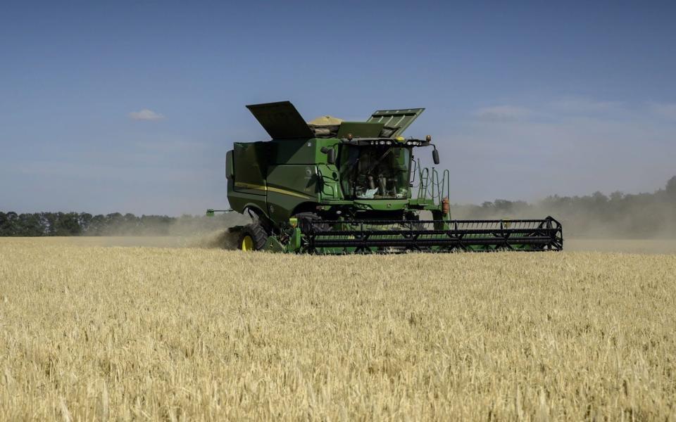 Ukraine farmer grains - &nbsp;Julia Kochetova/Bloomberg