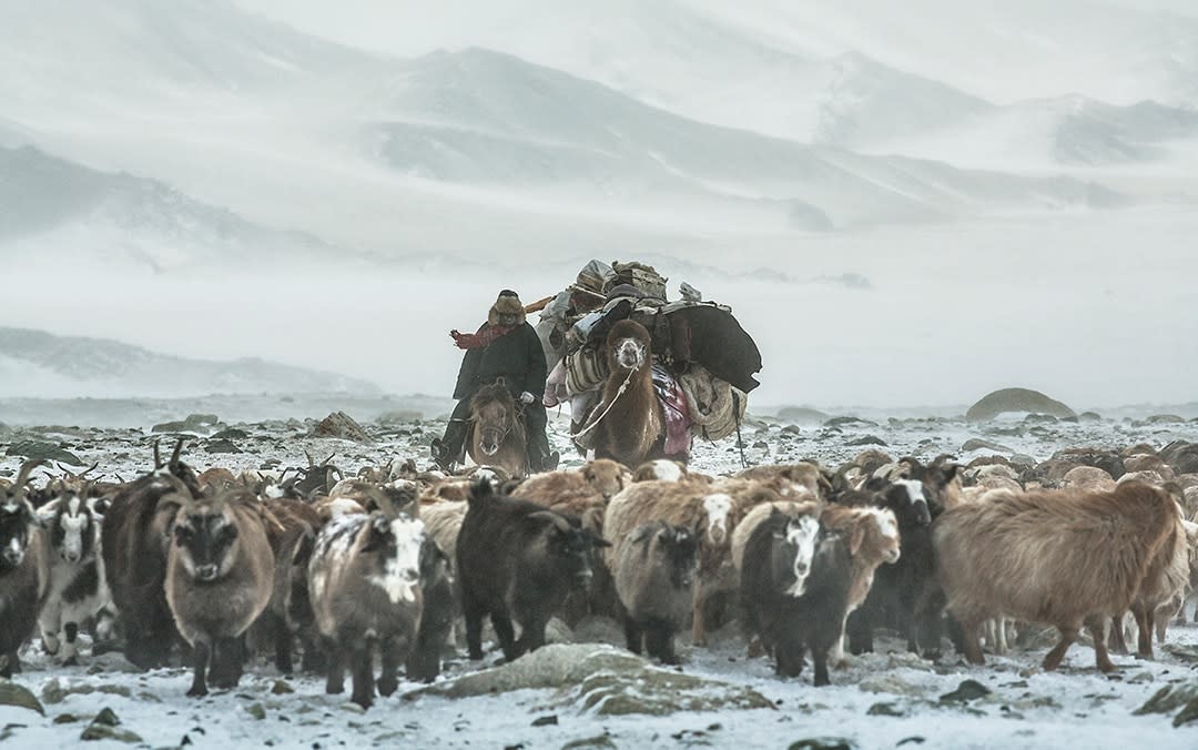 How does it feel to be a nomad? Mike Unwin meets herders, livestock and wildlife on an epic journey across the steppe - Tim Allen / Barcroft Images