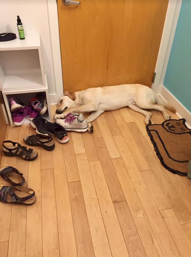 Prior to working with a behaviorist, Beau blocked the author's exit by sleeping at the door. (Photo: Courtesy of Tracy Strauss)