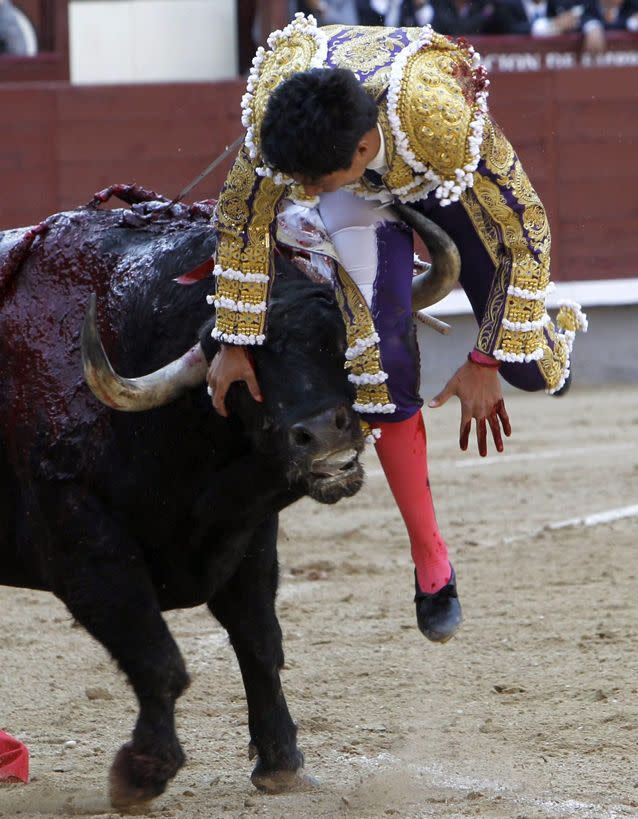 The matador escaped serious injury. Source: EPA