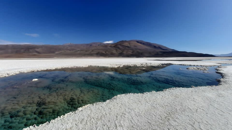 The giant stromatolites of Puna de Atacama represent the earliest fossil evidence for life on our planet, according to new research. - Brian Hynek