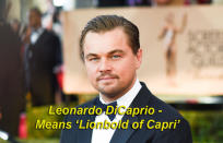 Leonardo DiCaprio means ‘Lionbold of Capri’ - Leonardo, a Portuguese name meaning 'Lion-bold’ and DiCaprio, being 'from the island of Capri’ in Italy.