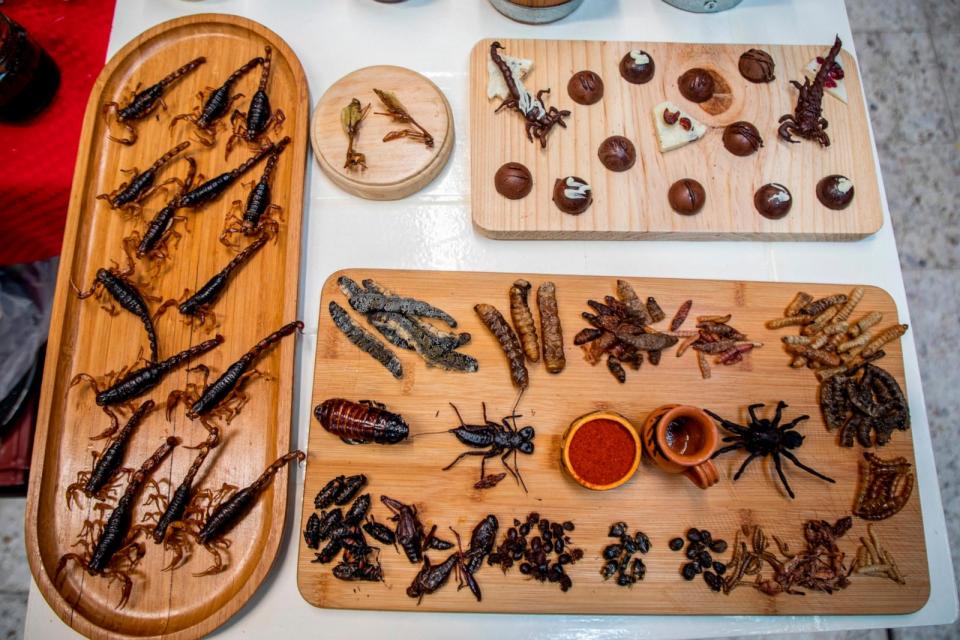 PHOTO: Insects for Food (Jair Cabrera/Picture Alliance via Getty Images)