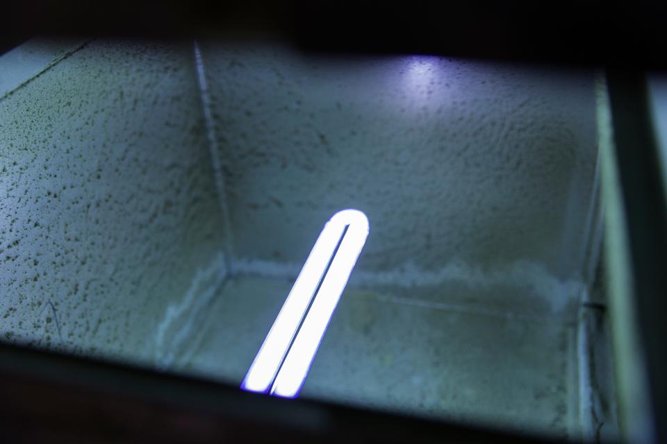 A UV light inside the HVAC unit works by targeting viruses, bacteria and mold spores, neutralizing them and preventing them from growing. UV lights are also used in hospital settings for disinfection.