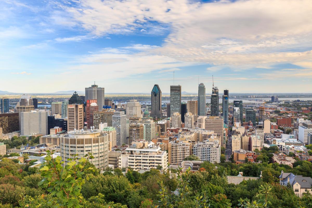 Montrealer's collection tells the story of baseball in the city