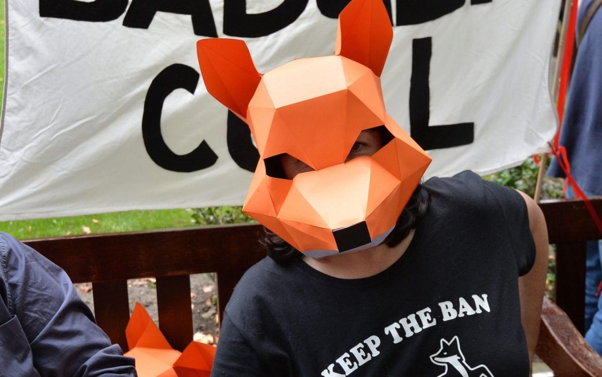 The badger cull has provoked an angry backlash from animal rights campaigners - PA