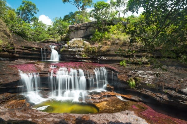 描繪出彩虹般的美麗景色。（圖片來源／CAÑO CRISTALES）