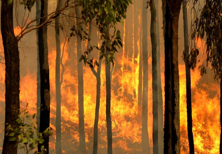 A bushfire burns out of control in the Kiewa Valley towards the town of Dederang in the Victoria Alps on February 10, 2009