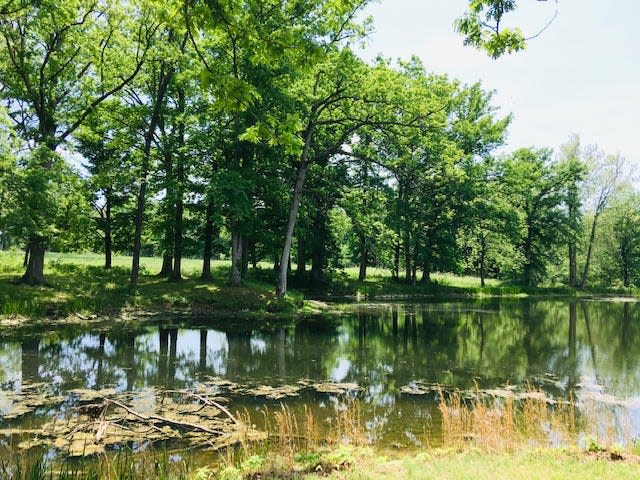 The pond at Deer Creek Fish and Wildlife Area.