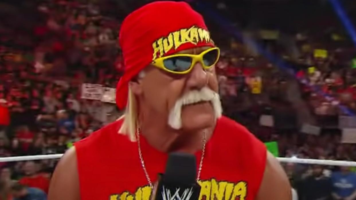  Hulk Hogan in the WWE. 