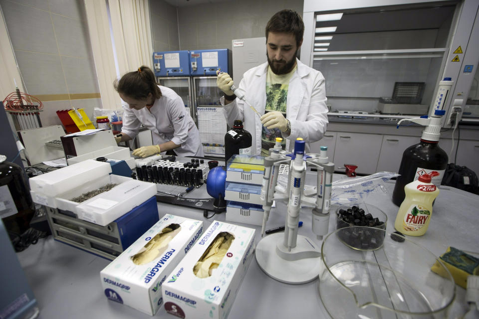 FILE - In this May 24, 2016, file photo, lab technicians work at Russia's national drug-testing laboratory in Moscow, Russia. The Russians were running out of time. Experts from the World Anti-Doping Agency were heading to Moscow to finally receive the trove of data they’d been seeking for two years. Instead of getting ready to hand it over, Russian authorities stayed busy in a round-the-clock endeavor to keep changing, deleting and manipulating the data. Granular details of the plot are sprinkled throughout WADA’s previously confidential 89-page report, obtained by The Associated Press. Among the most brazen projects, the report says, was the rewriting of memos to make it look as though the man who exposed the plot was leveraging the Russian doping scheme to line his own pockets. (AP Photo/Alexander Zemlianichenko, File)