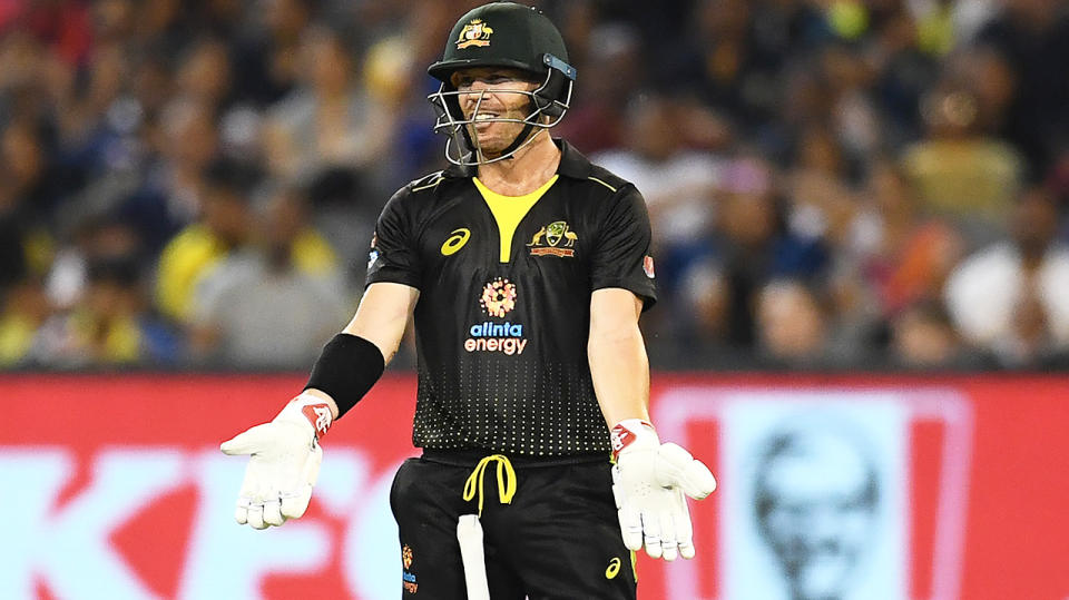 David Warner gestures with his hands after a ball.