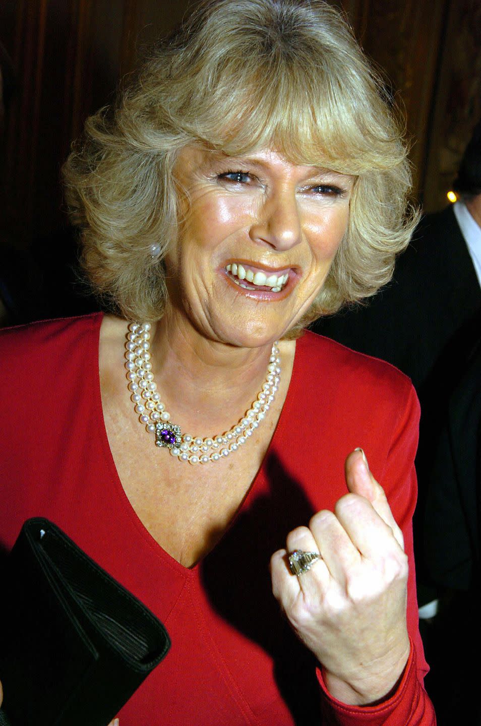 19 Photos of Camilla, Duchess of Cornwall, Sparkling in Diamonds