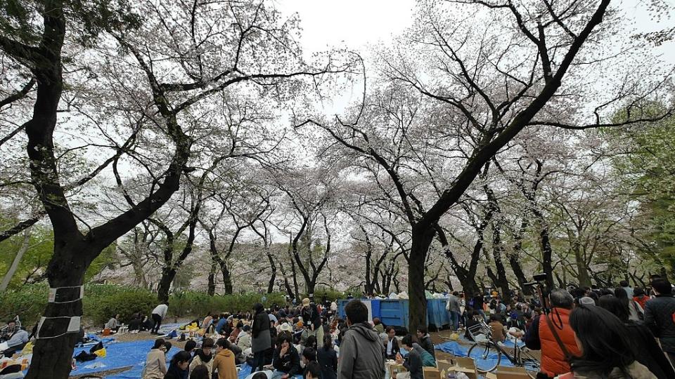 井之頭公園 (Photo by運転太郎, License: CC BY 3.0, Wikimedia Commons提供, 圖片來源web.archive.org/web/20161031080902/http://www.panoramio.com/photo/118438966)