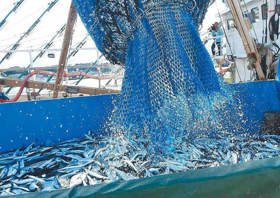 福島核災區食品輸台可能解禁，其中包括農產品影響最大，圖為福島生產的漁產。（摘自日本福島縣臉書）