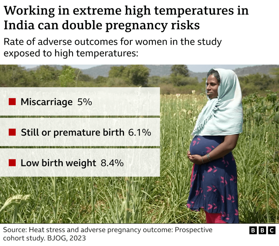 Working in extreme high temperatures in India could double pregnancy risks