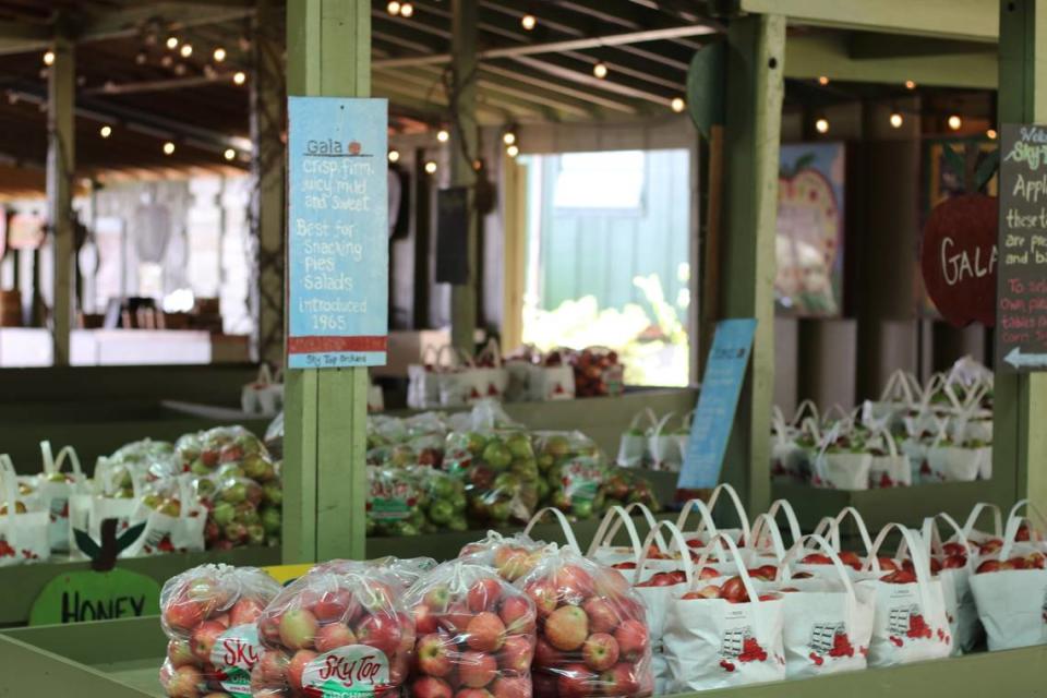 Sky Top Orchard offers apple picking tours, hayrides and more.