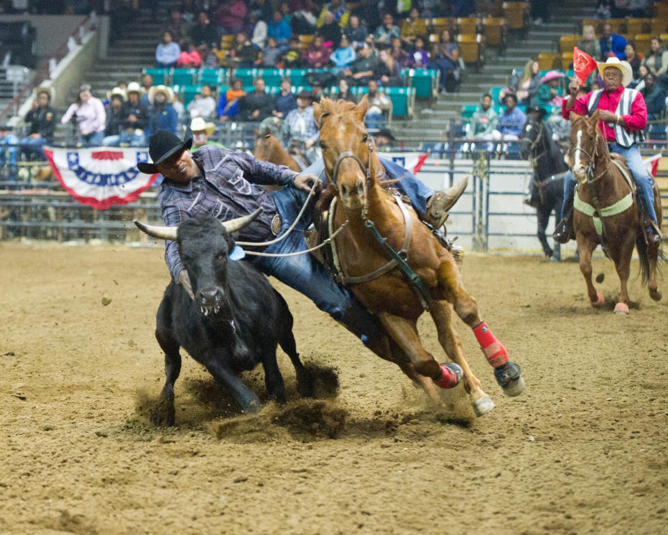 Steer Wrestling (Marvin Kelly of Marvelous Images Photography)