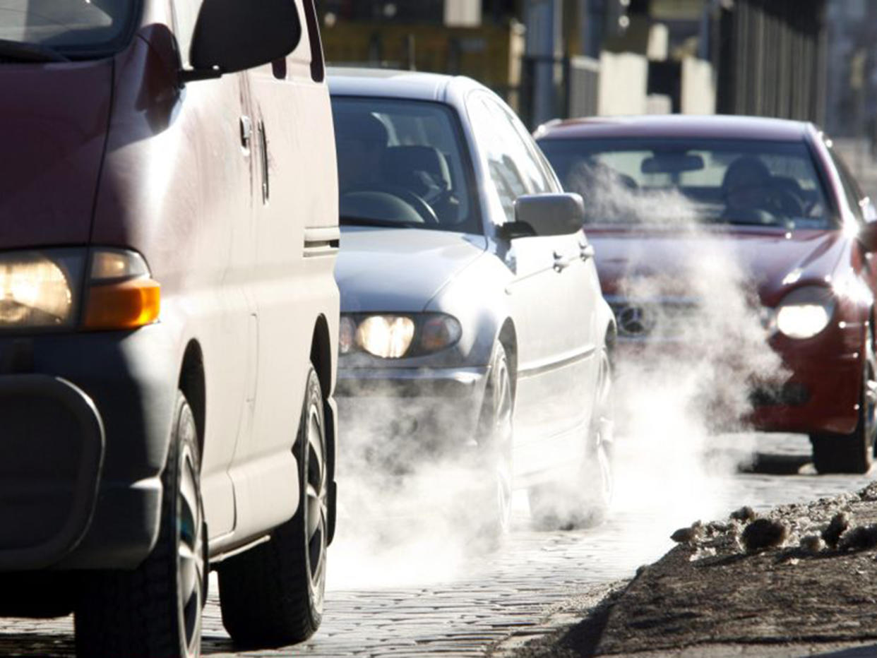 Air pollution contributes to around 80 deaths in Copenhagen a year: Rex