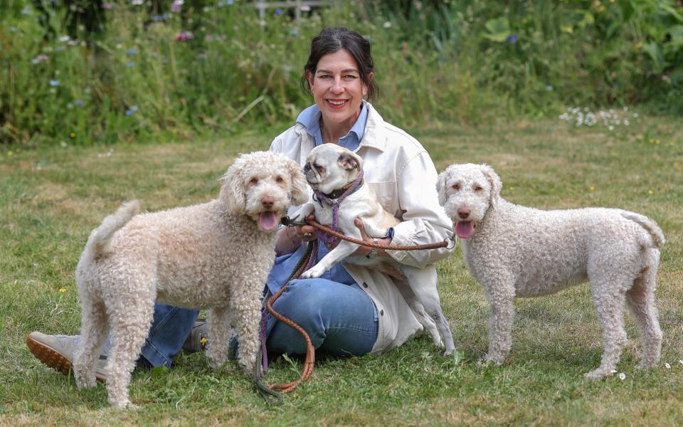 Louise Carpenter with her dogs Margot, Panda and Mog - John Lawrence