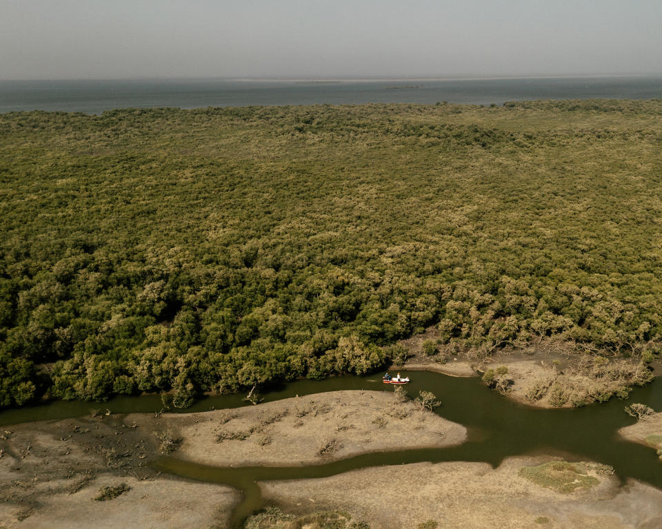 Qaiser and his assistant on a small dinghy inside the mangrove area on Bundal Island near Karachi<span class="copyright">Matthieu Paley for TIME</span>