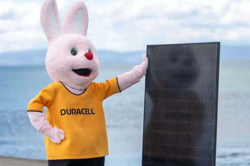 The Duracell bunny visited the Green Homes Systems headquarters in Irvine