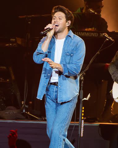 Joseph Okpako/WireImage Niall Horan