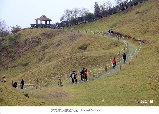 『綿羊城堡』清境農場雪國的綿羊城堡，夢幻婚紗景點～