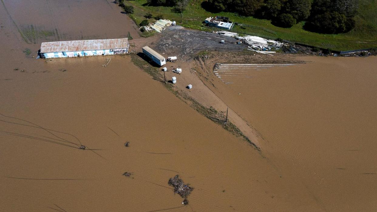 PHOTO: Flooded strawberry fields in Pajaro, Calif., March 15, 2023, from a levee breach on the Pajaro River. (David Paul Morris/Bloomberg via Getty Images)