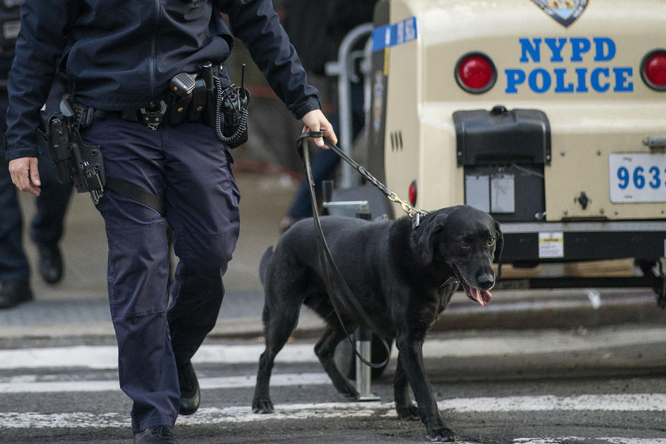 A police officer walks with a K-9 in front the courthouse ahead of former President Donald Trump's anticipated indictment on Thursday, March 23, 2023, in New York. A New York grand jury investigating Trump over a hush money payment to a porn star appears poised to complete its work soon as law enforcement officials make preparations for possible unrest in the event of an indictment. (AP Photo/Eduardo Munoz Alvarez)