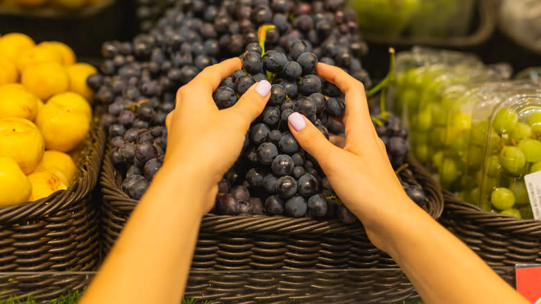 hands feeling bunch of grapes