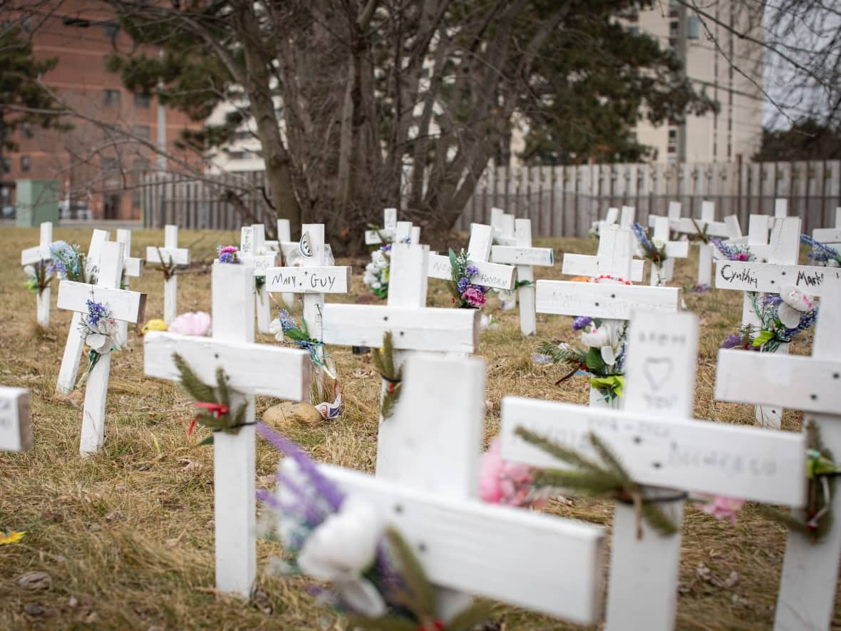 Crosses representing residents who died of COVID-19 on the lawn of Camilla Care Community, in Mississauga, Ont., on Jan. 13, 2021. The long-term care home was among the hardest-hit by the pandemic in Ontario. (Evan Mitsui/CBC - image credit)