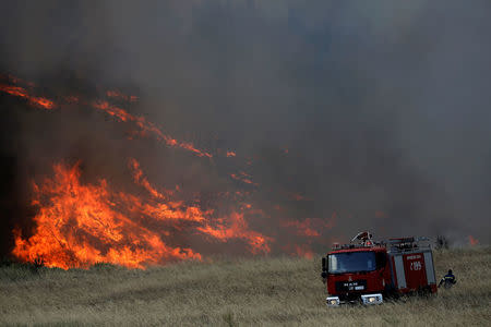 Flames rise as a firefighter pulls a hose from a firetruck during a wildfire near the village of Metochi, north of Athens, Greece, August 14, 2017. REUTERS/Alkis Konstantinidis