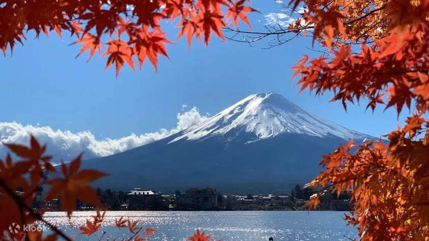 富士山周邊擁有許多賞楓勝地，可將所有美景一網打盡。圖片來源：Klook
