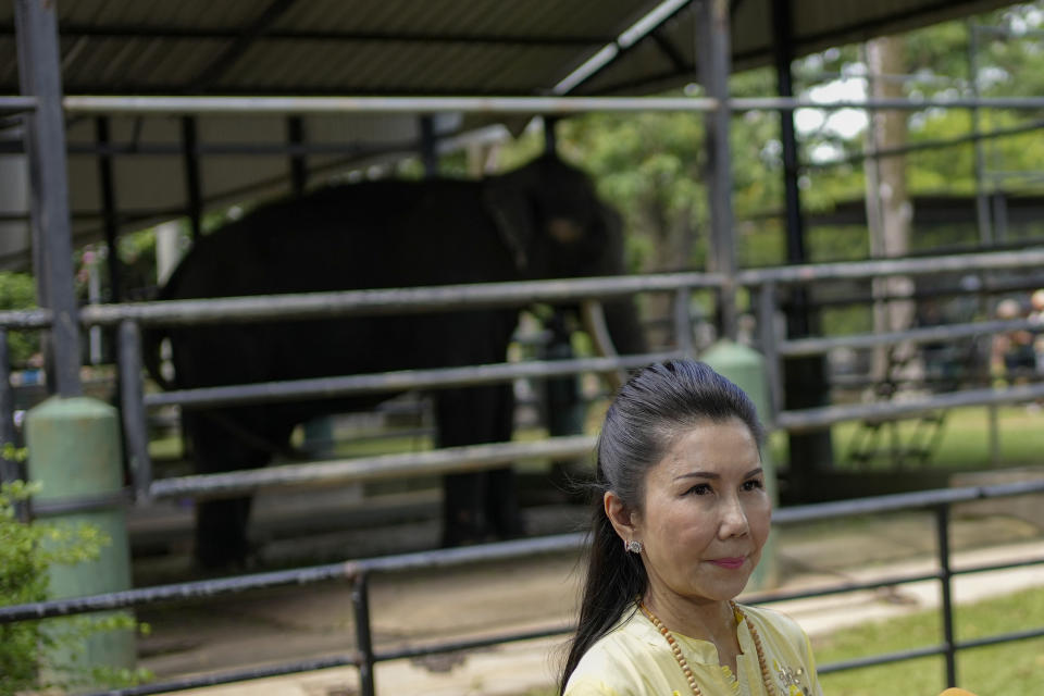 Kanchana Silpa-archa, advisor to the Thai environment ministry, stands by the Asian elephant Sak Surin gifted by the Thai Royal family and named Muthu Raja or pearly king in Sri Lanka at the national zoological garden in Colombo, Sri Lanka, Friday, June 30, 2023. Sak Surin, or the honor of the Thai province of Surin, spends its last hours in Sri Lanka its adopted home, awaiting to be airlifted back to its country of birth after alleged abuse. (AP Photo/Eranga Jayawardena)