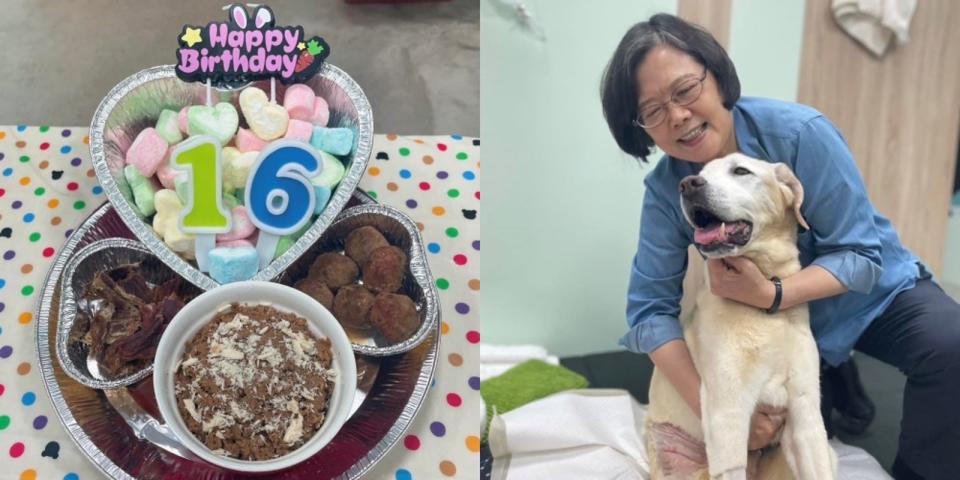 今天是Maru的16歲生日，蔡英文開心為愛犬慶生。（翻攝自蔡英文臉書）