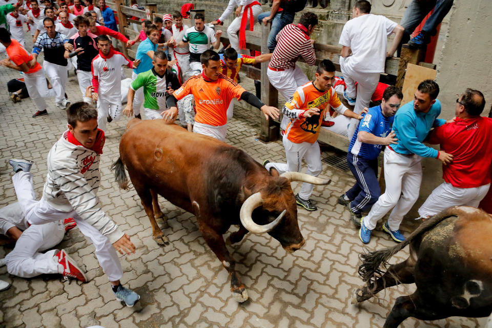 PAMPLONA, SPAIN - JULY 08:  Revellers run with the Tajo and the Reina's fighting bulls entering the bullring during the third day of the San Fermin Running Of The Bulls festival on July 8, 2015 in Pamplona, Spain. The annual Fiesta de San Fermin, made famous by the 1926 novel of US writer Ernest Hemmingway entitled 'The Sun Also Rises', involves the daily running of the bulls through the historic heart of Pamplona to the bull ring.  (Photo by Pablo Blazquez Dominguez/Getty Images)