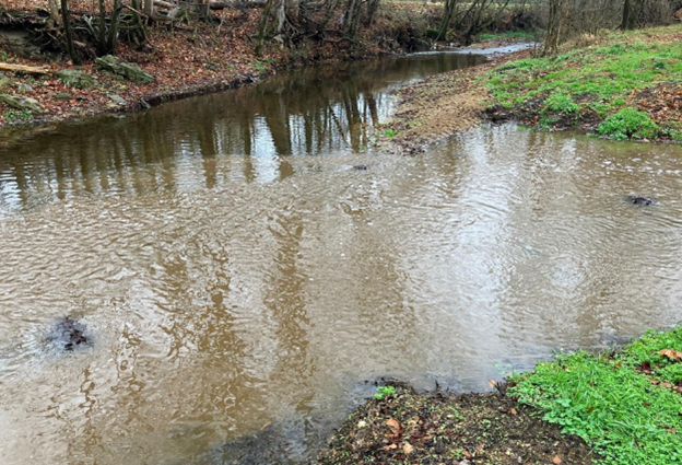 The intersection of Bean Branch and Trace Creek on Dec. 1, 2023. The Tennessee Department of Environment and Conservation wrote, "Waters from Bean Branch are now polluted with materials from the Browning Land & Cattle operation."