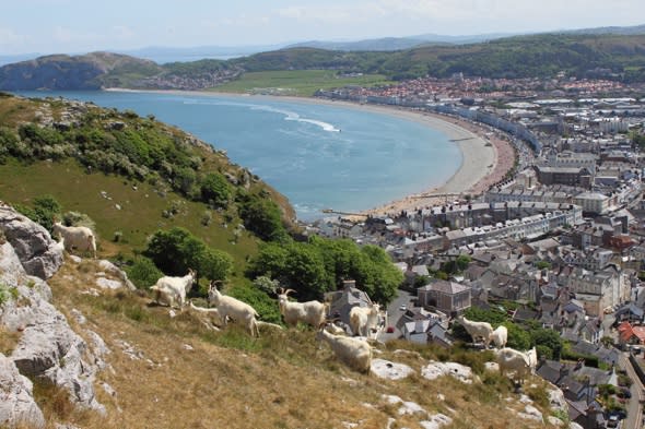 Llandudno voted Britain's best place to rent a holiday pad