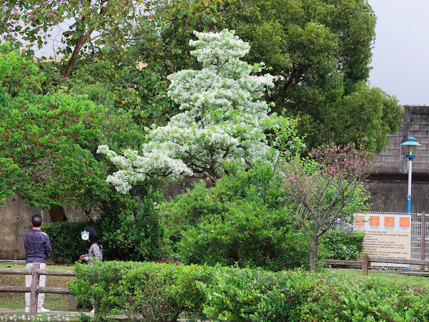 桃園｜大湖紀念公園