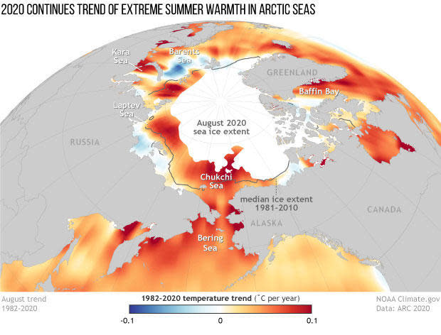 Nearly all of the Arctic experienced warmer than normal seas, illustrated in the red shading. / Credit: NOAA