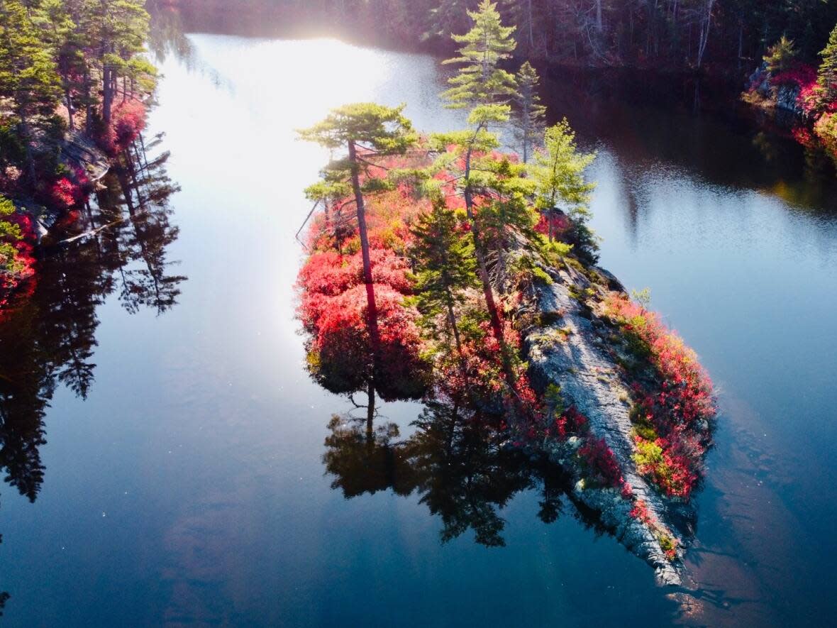 Blue Mountain-Birch Cove Lakes in Halifax has now entered the second of four phases to become a national urban park. (Submitted by Canadian Parks and Wilderness Society - image credit)