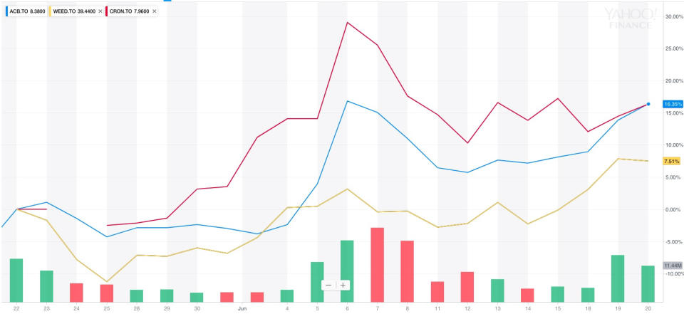 Shares of major Canadian marijuana companies all responded well to the news (Yahoo Canada Finance)