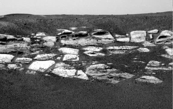 A view from one of Opportunity's camera of its landing site on its 2nd sol on Mars.