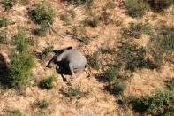 A dead elephant is seen in this undated handout image in Okavango Delta