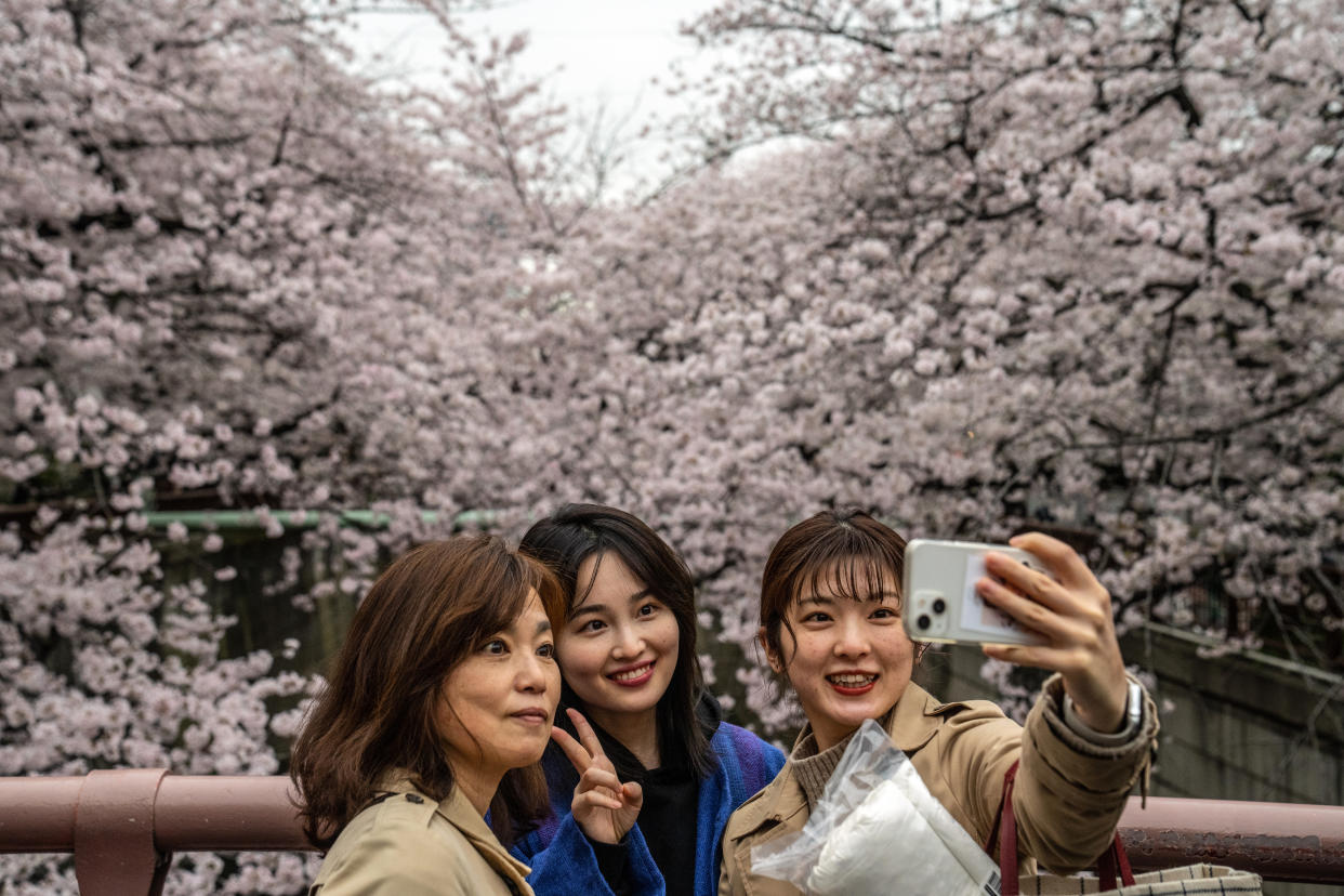 TOKYO, JAPAN - MARCH 29: Women take a selfie photograph together as they view cherry blossom along the Meguro River on March 29, 2022 in Tokyo, Japan. The Japanese have a long-held tradition of enjoying the blooming of cherry blossoms. The blossom is deeply symbolic and only lasts for around one week and marks the beginning of spring. It is claimed that the short-lived existence of the blossom taps into a long-held appreciation of the beauty of the fleeting nature of life, as echoed across the nation's cultural heritage. (Photo by Carl Court/Getty Images)