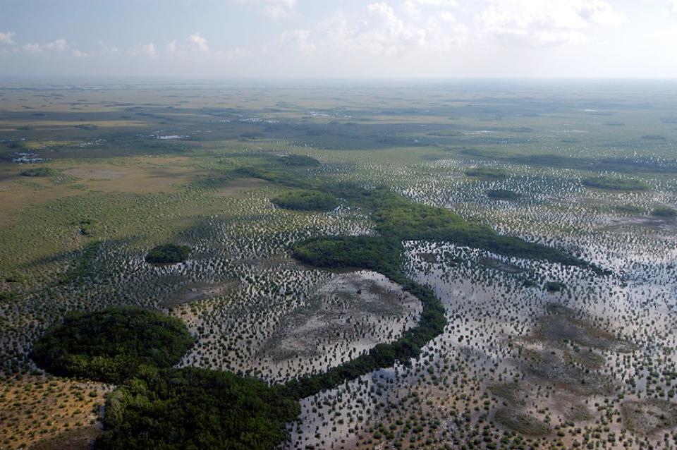 大沼澤地國家公園 (Photo by Everglades NPS from Homestead, Florida, United States, Wikimedia Commons提供, 圖片來源www.flickr.com/photos/evergladesnps/9250299462) 