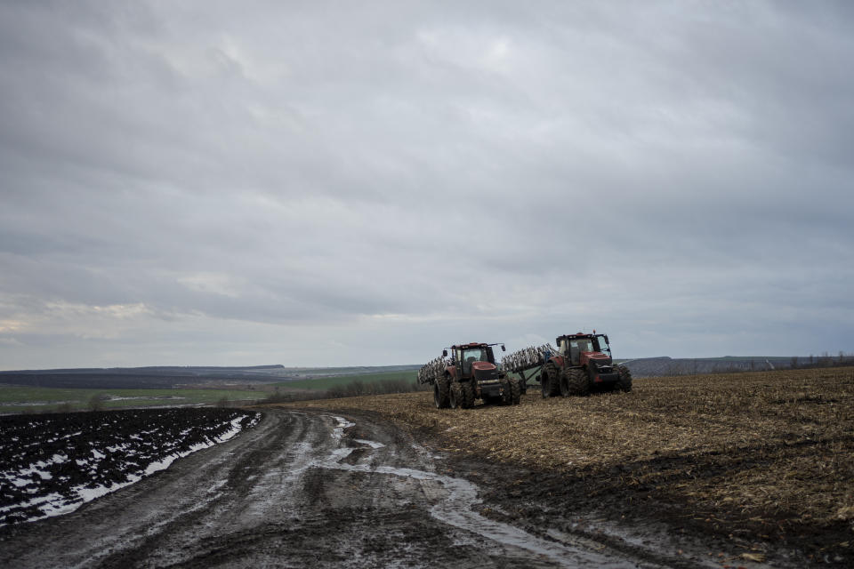 Tractors used for harvesting are seen parked on a cornfield near the frontline in Sumy region, Ukraine, on Friday, Nov. 24, 2023.A local agricultural company operating just a few kilometers from the border with Russia continues to grow grains despite facing dangers of shelling and mines. The company stores the harvest in warehouses and doesn't send grains for export to Odesa's ports due to the high risk of Russian strikes there. (AP Photo/Hanna Arhirova)
