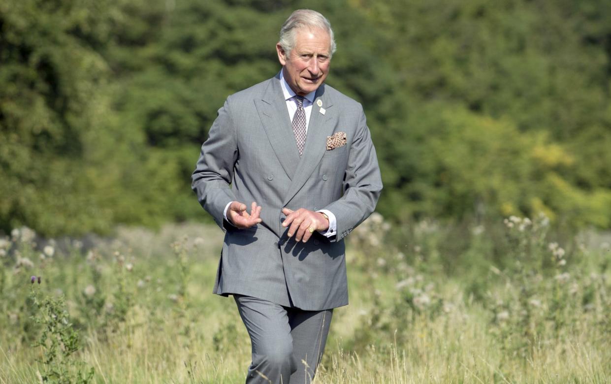 King Charles stays fit - Alpha Press